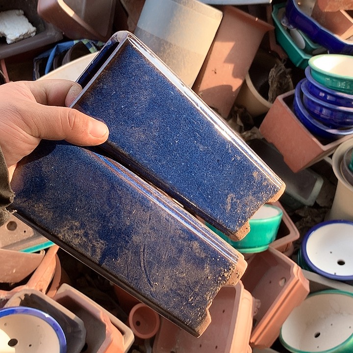 紫砂没有你喜欢吃辣不