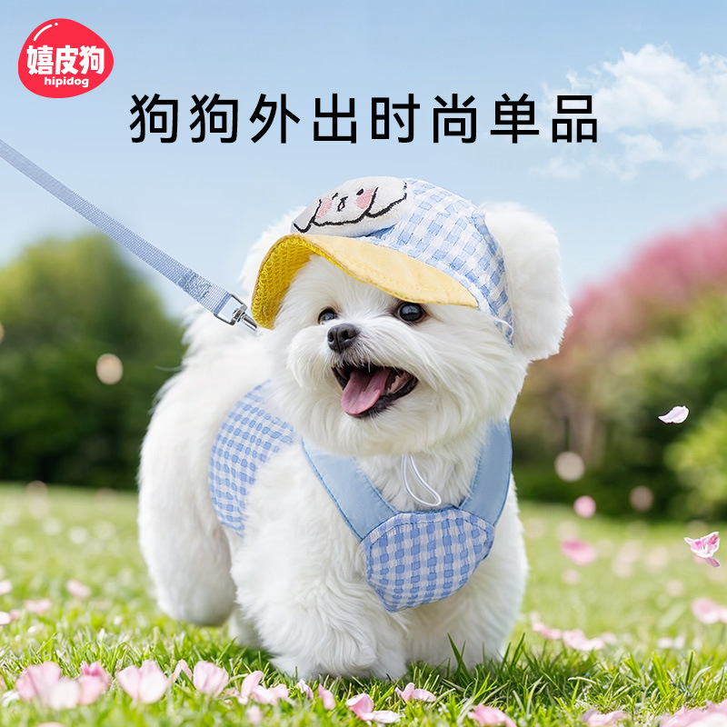 宠物狗狗带帽子胸背自带牵引套装适合小型犬泰迪遛狗使用