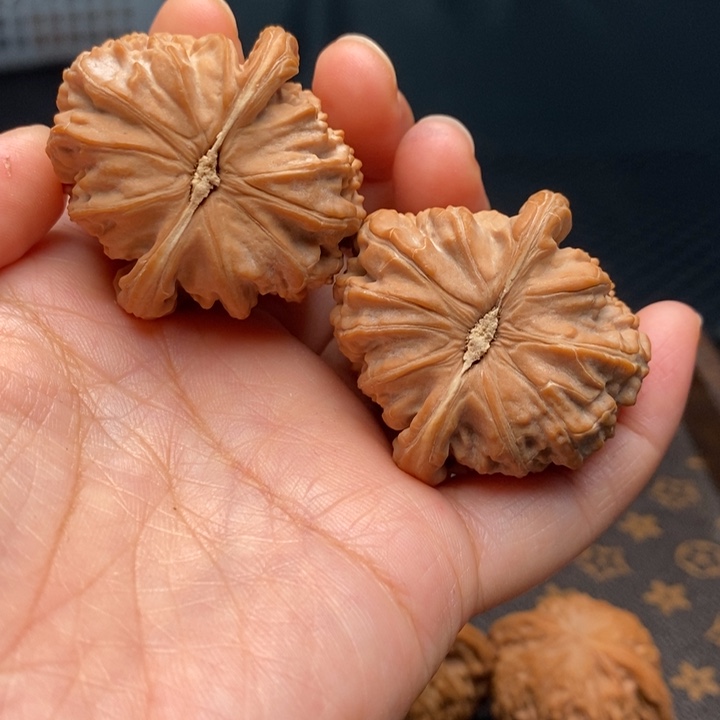 把件文玩核桃白狮子
