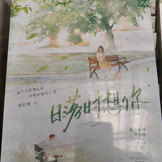 日落时想你 全新正版图书。