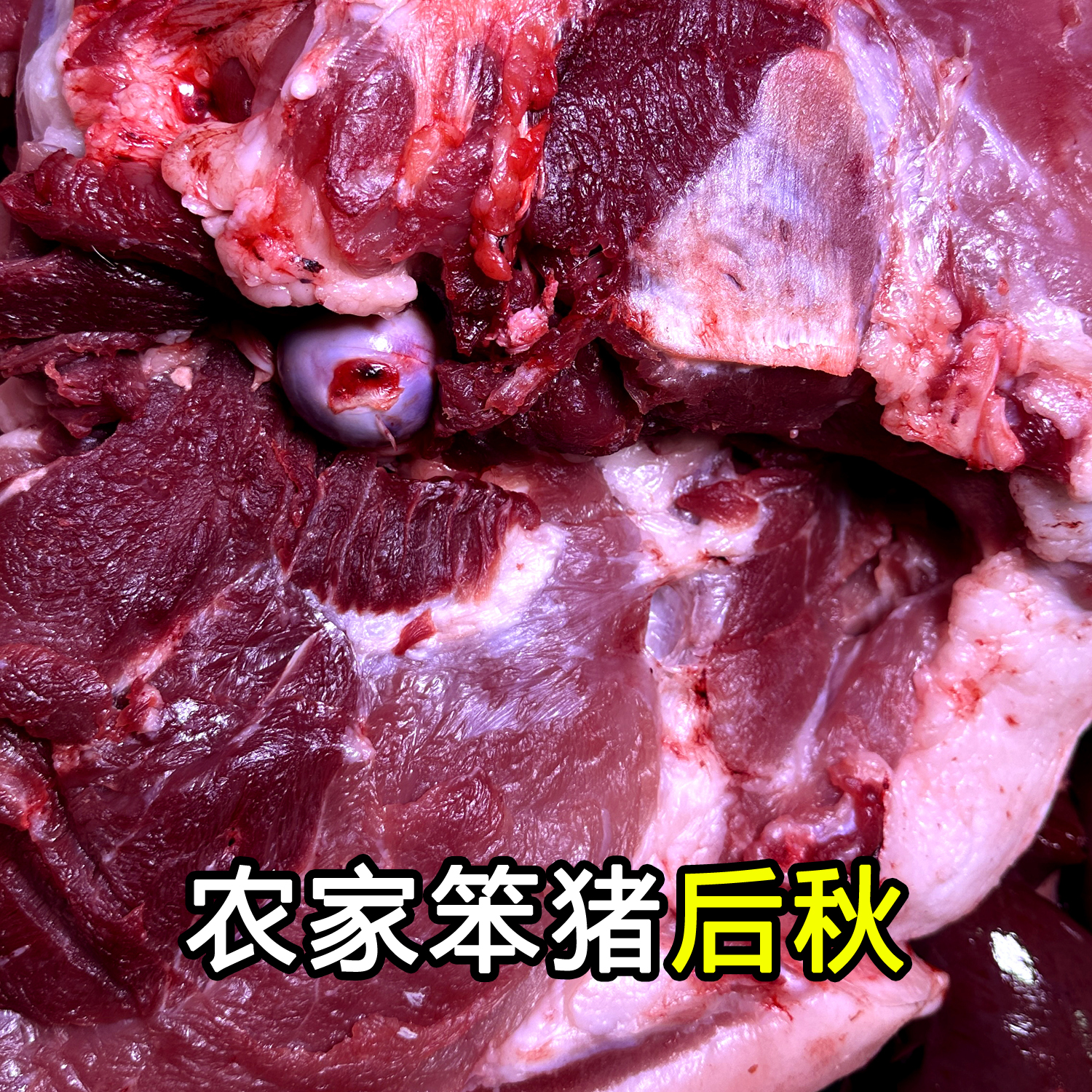 【顺丰包邮】B后邱肉东北农村笨猪肉B