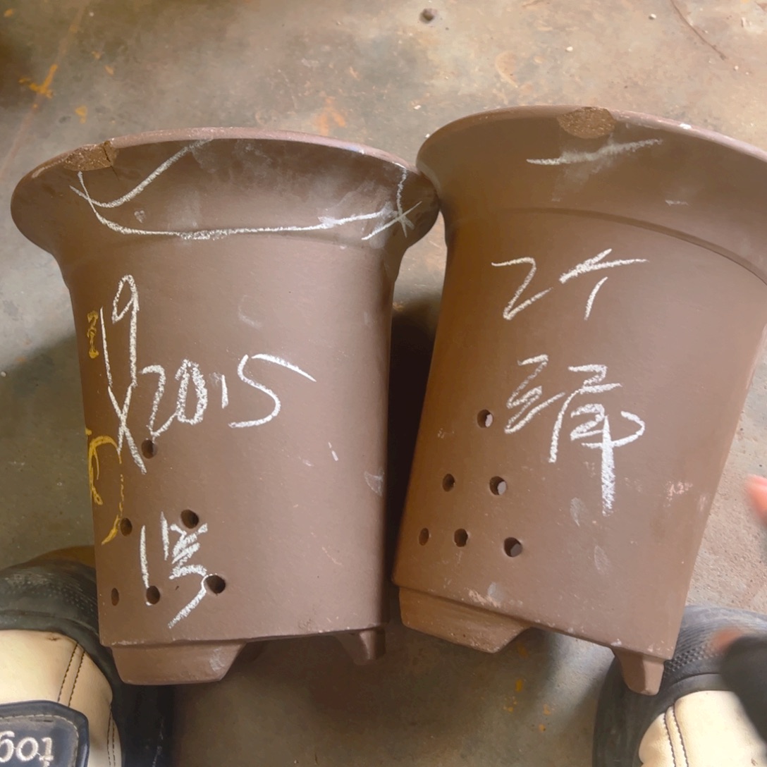 1号……………………………………