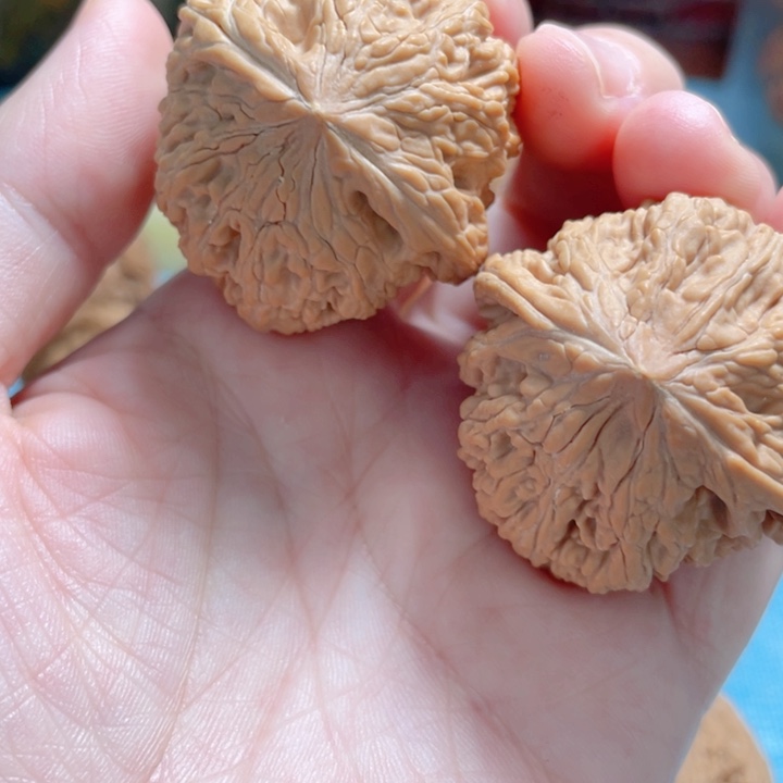 心**成37尺寸小众骨质棒