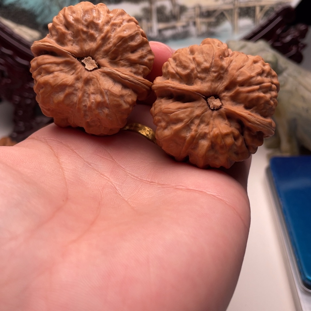 净***火核桃蛤蟆头文玩C08