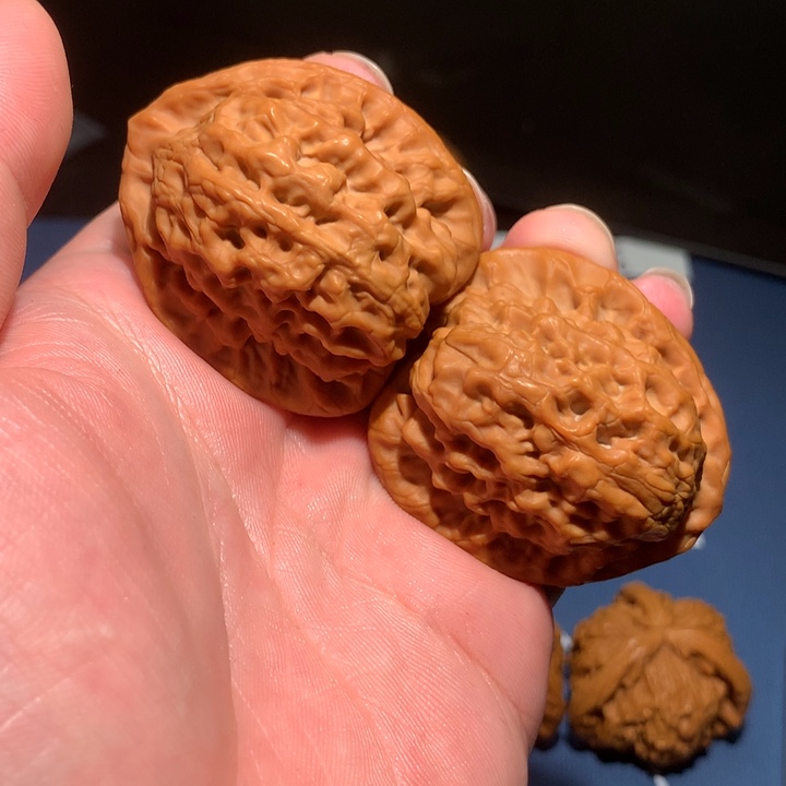 文玩核桃把件41金公子