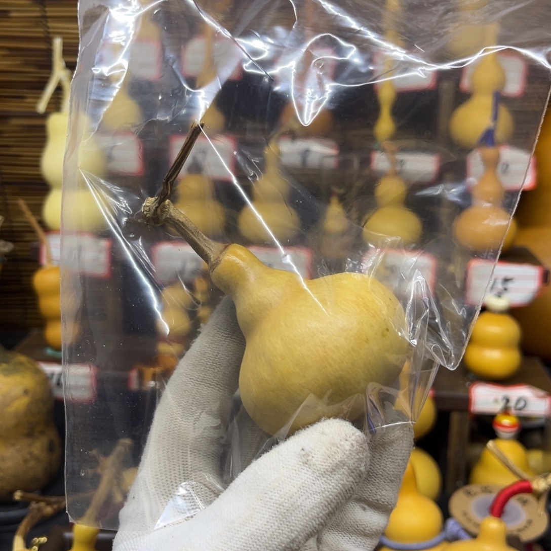 柚****一物一拍不退不换