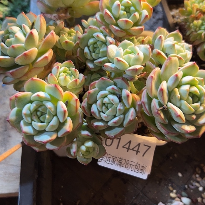 幸运的是我还没遇到过