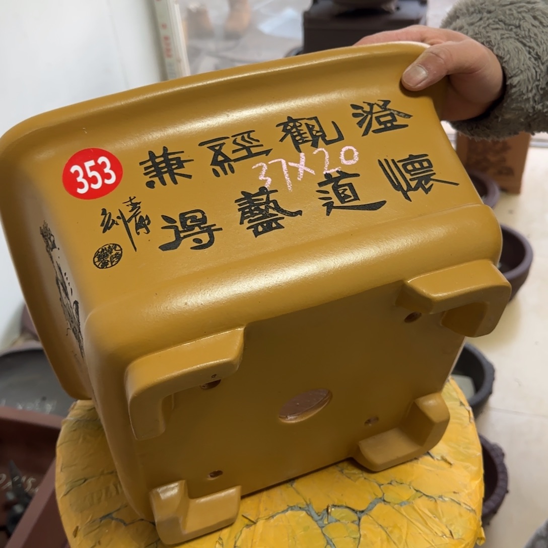 紫砂花盆呜呜呜呜