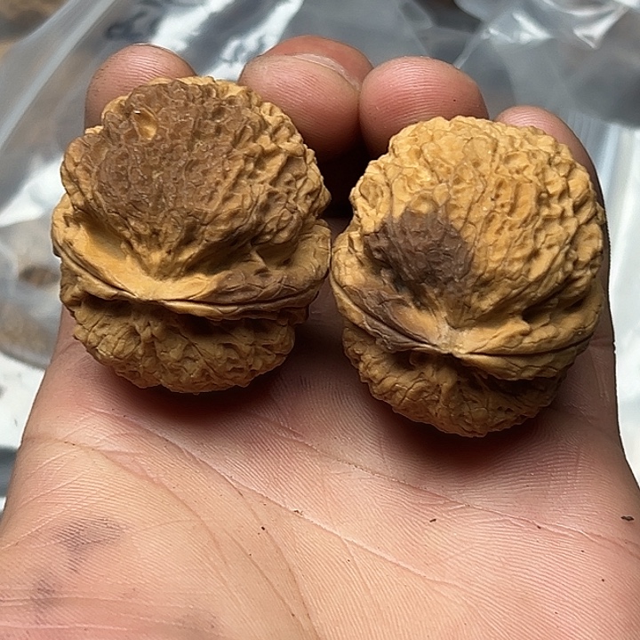 把件文玩核桃27号橄榄石42尺64克