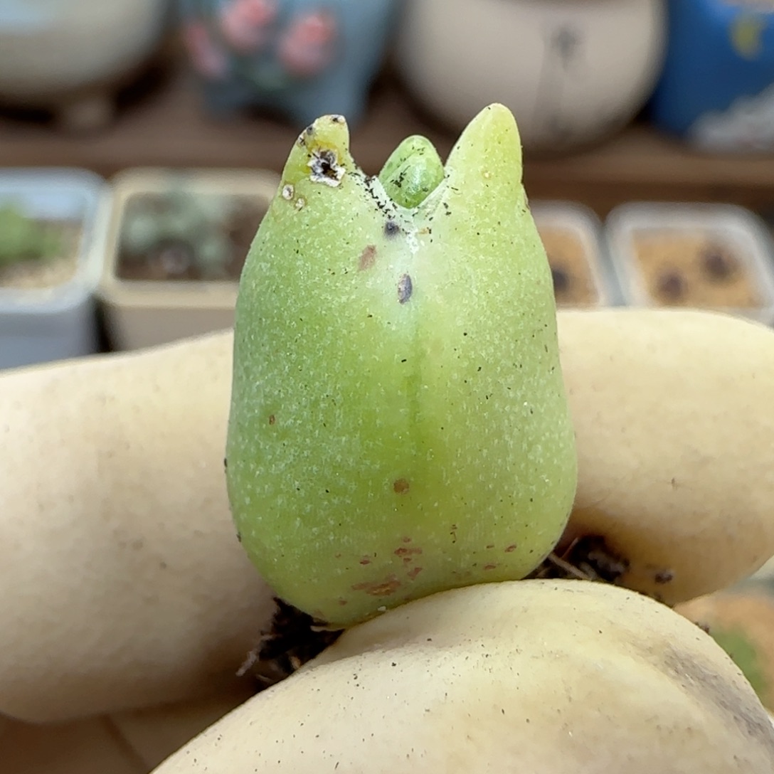 654福利福利福利