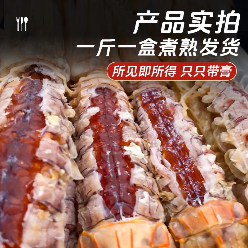 个个带黄 熟冻带黄皮皮虾 带膏虾蛄500g/1盒