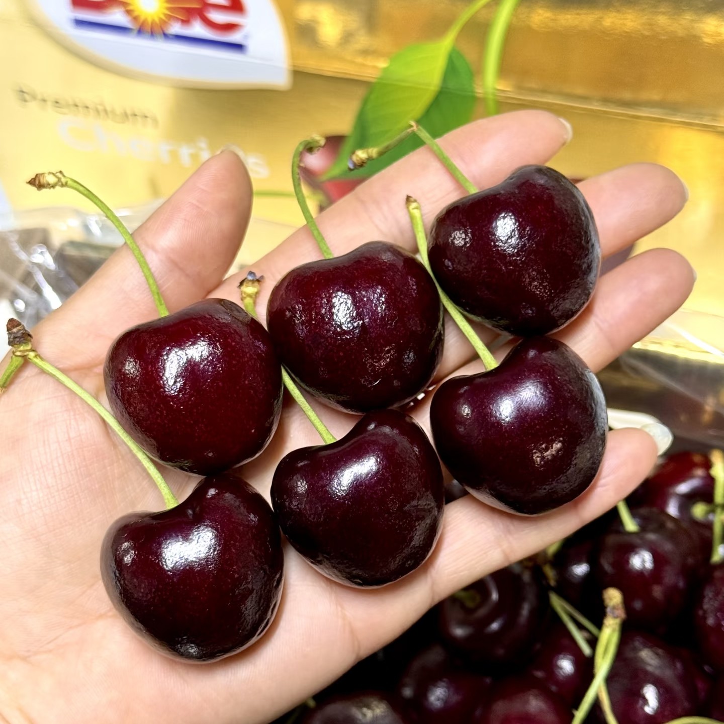 金都乐3JD桑缇娜4斤整箱海运