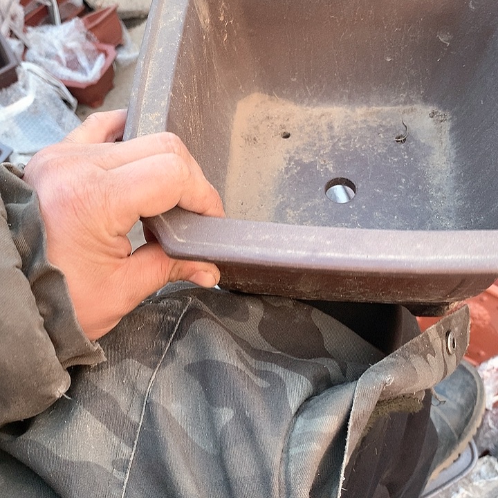 紫砂没有你喜欢吃辣不