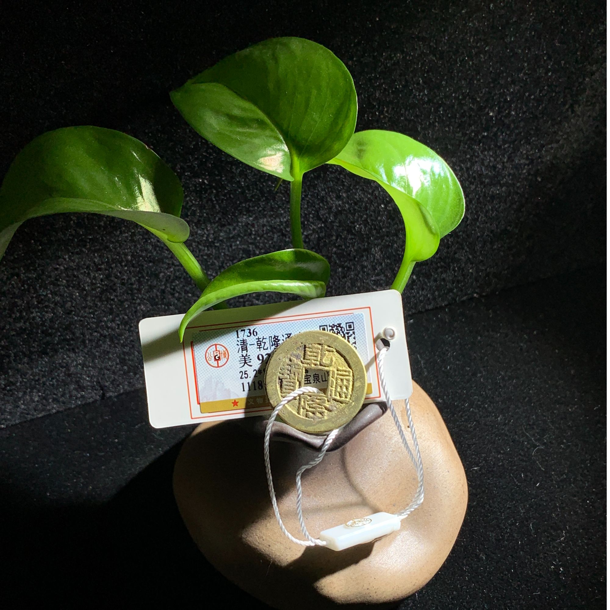 清代 公博评级92分乾隆通宝宝泉山底隆一枚（编号0891）