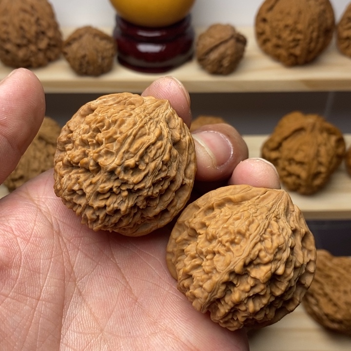 把件核桃40尺全品满天星一物一图