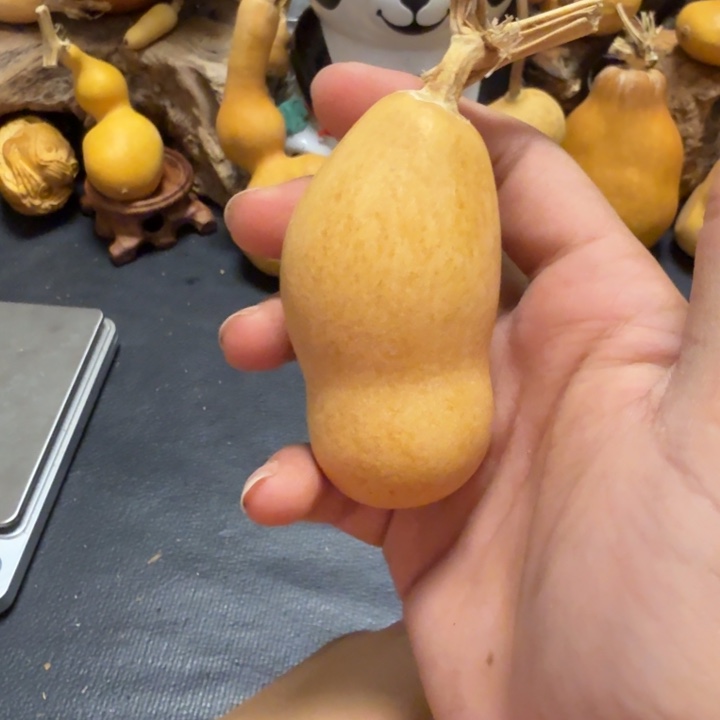 佛***人888…………………………………………