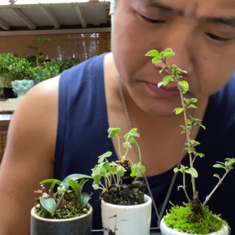 红陶用****7一物一拍所见即所得99