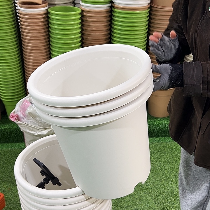 微瑕8号四季口39高37白色3个无托