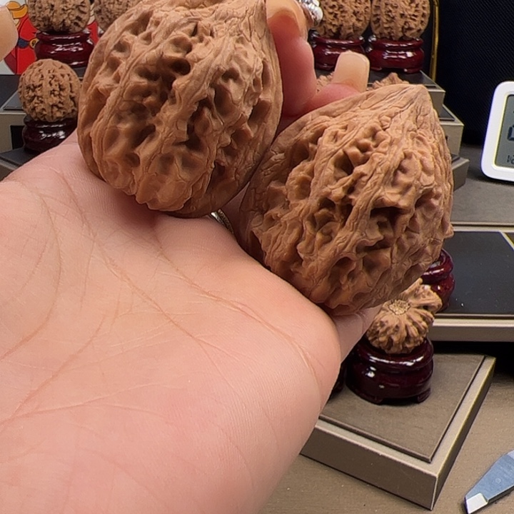 文玩核桃把件40 大 沽石 y-010