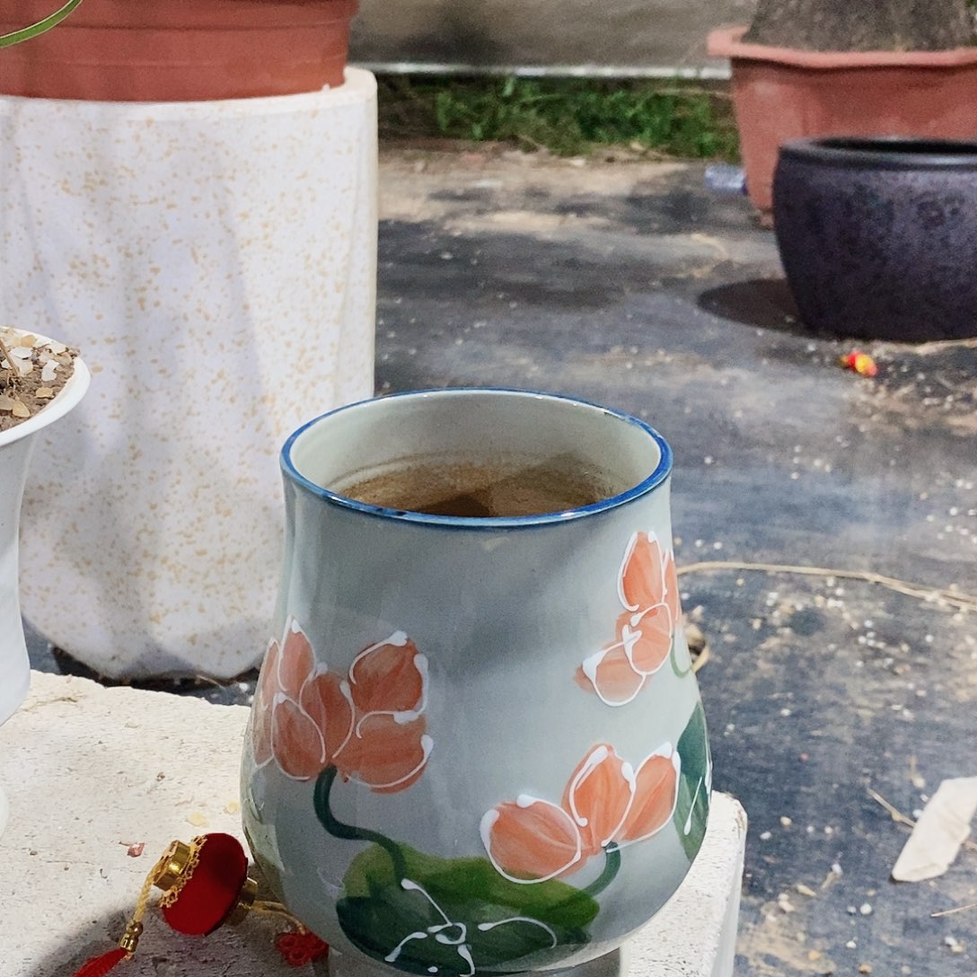 柠***生无花朵荷花手绘花盆