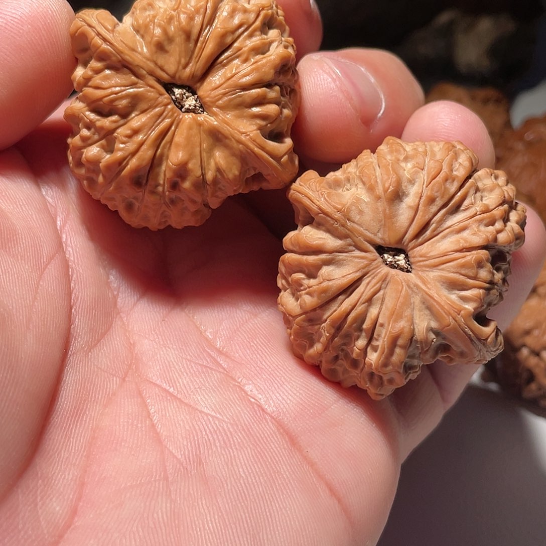 S***森41全品血麒麟文玩核桃