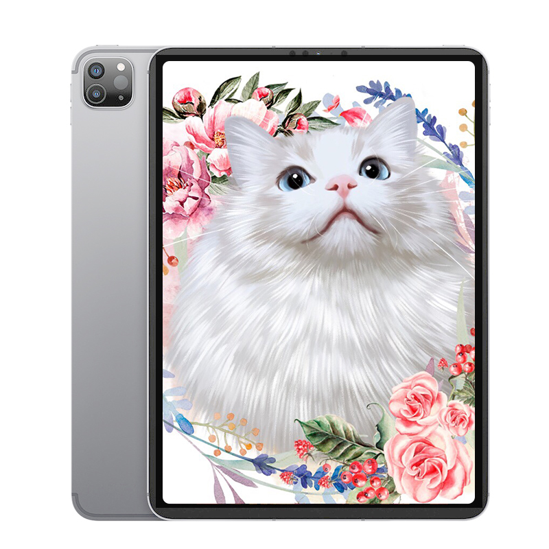 95新 Apple/苹果 iPad Pro轻薄款办公绘图剪辑游戏看电影平板电脑