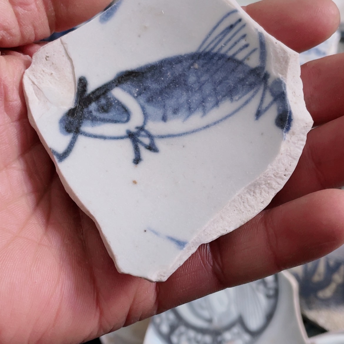 【闪购商品】瓷片瓷片瓷片瓷片瓷片