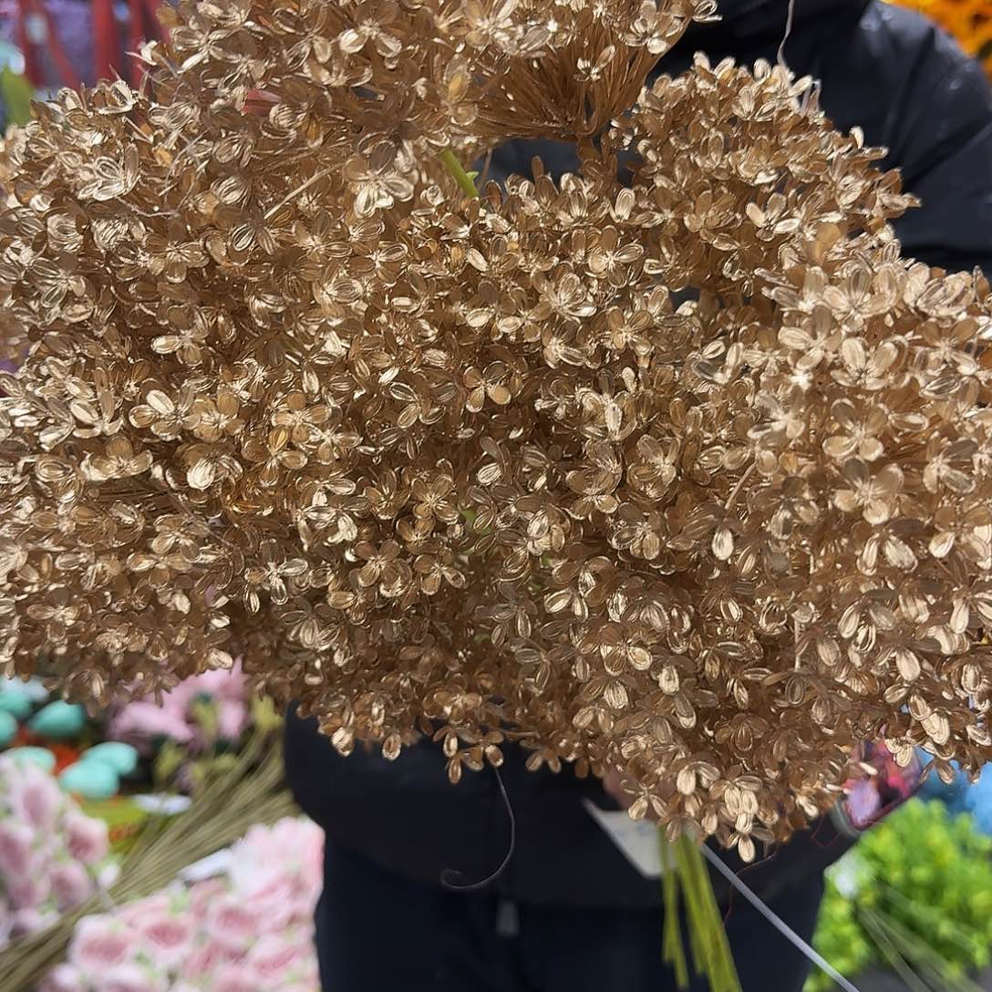 252号金色葱球10支