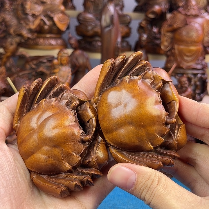 黄杨木小叶黄杨木