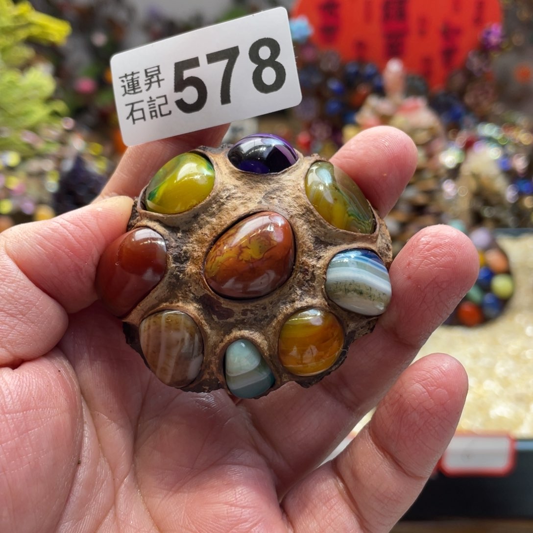 核桃木/黑胡桃（胡桃木）胖*鲁578