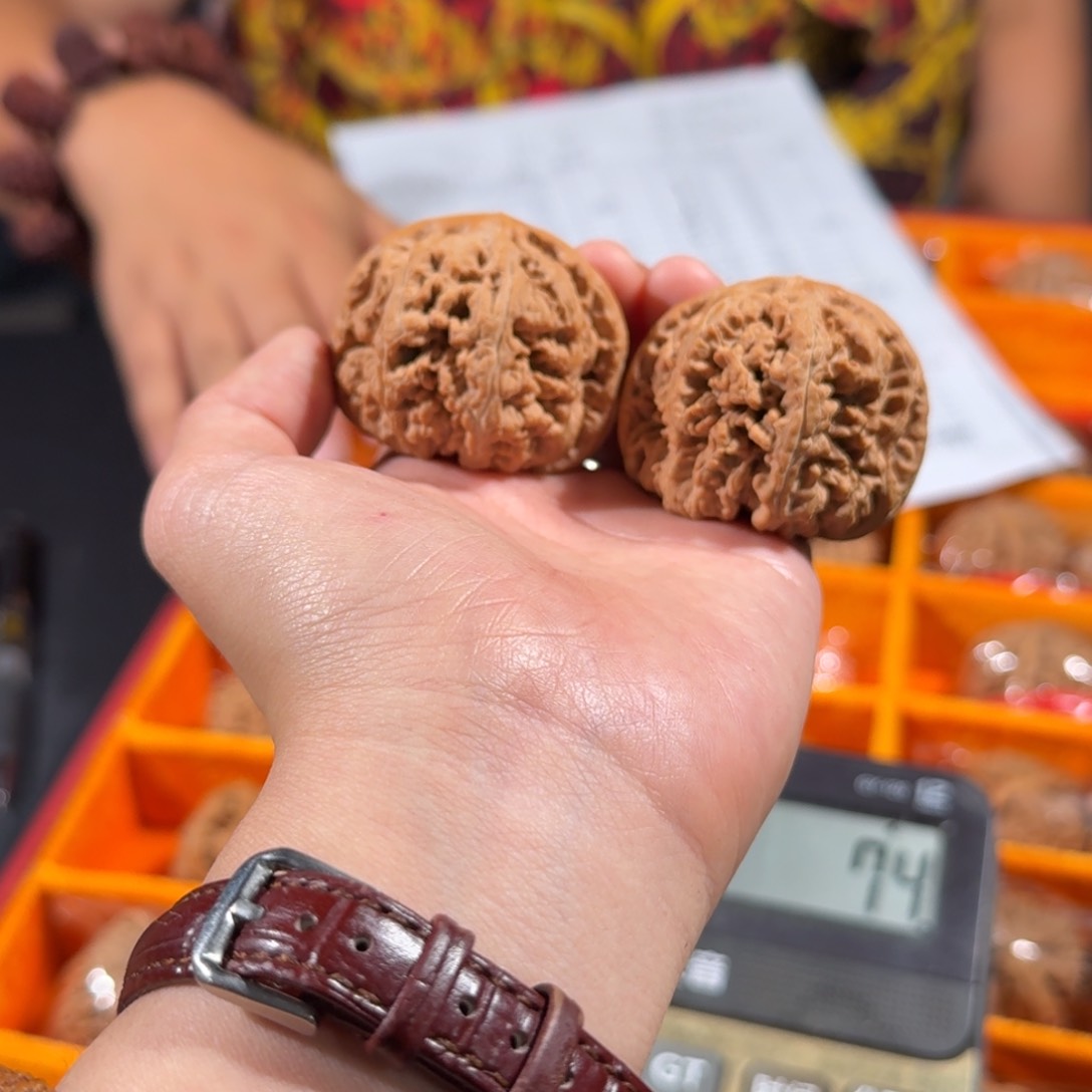 文玩核桃把件923号44平谷大粗筋