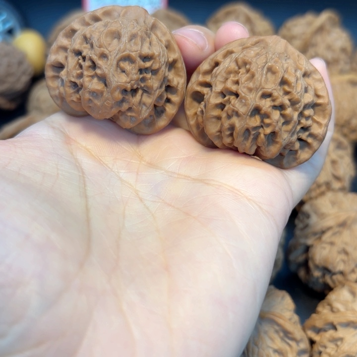 41宫灯全品无修全品无修