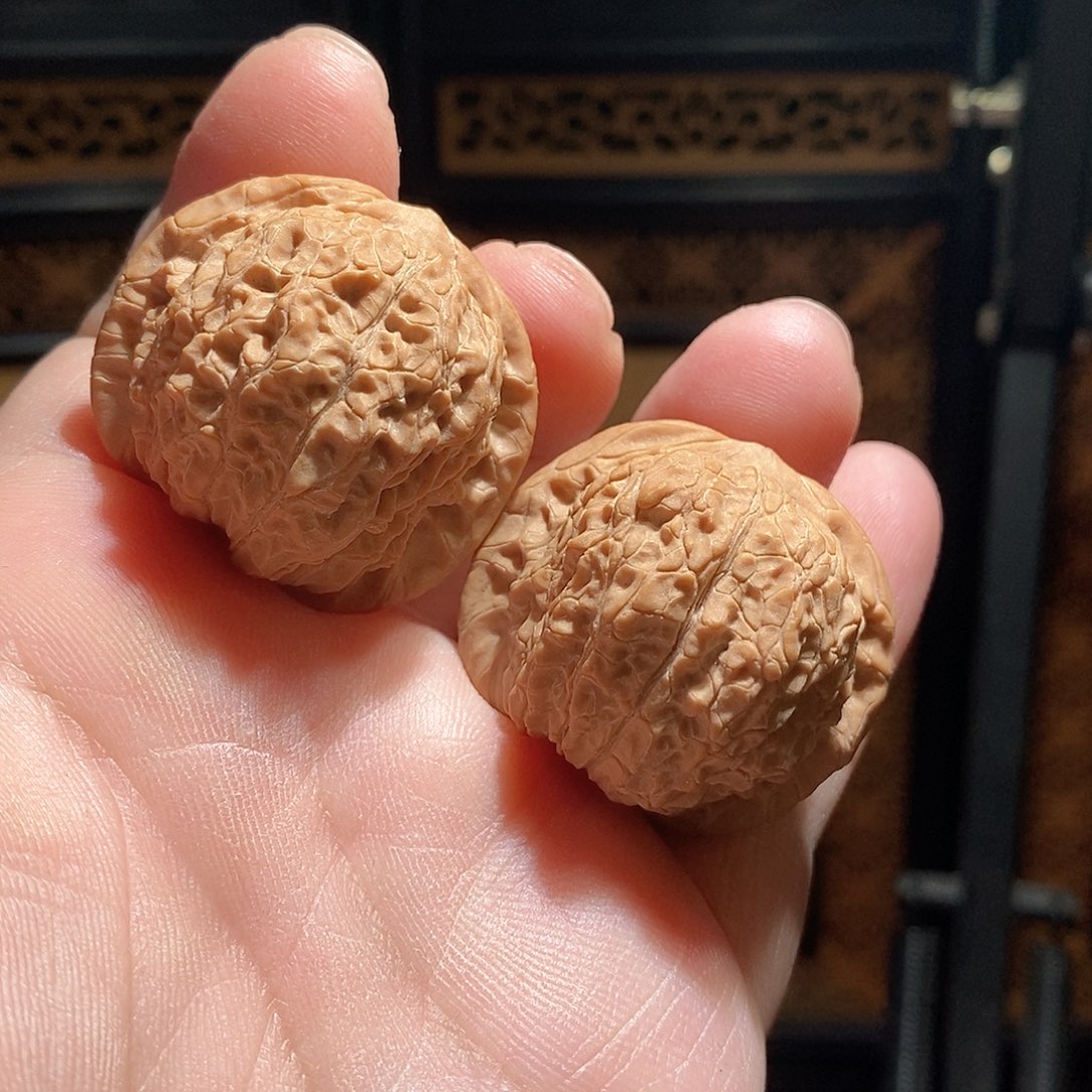 文玩核桃把件37血麒麟全品