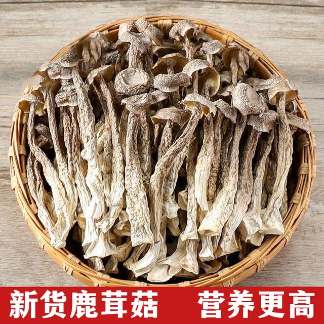 鹿茸菇干货新鲜头茬新货嫩仔煲汤爆炒食材炒菜凉拌
