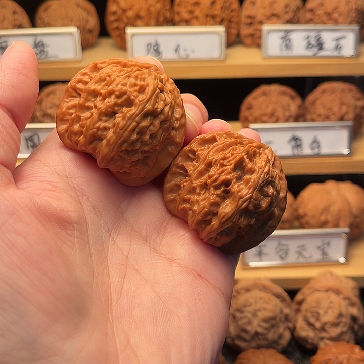 不***生核桃41白狮子。          