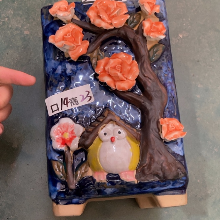 【闪购商品】红陶福利福利福利福利