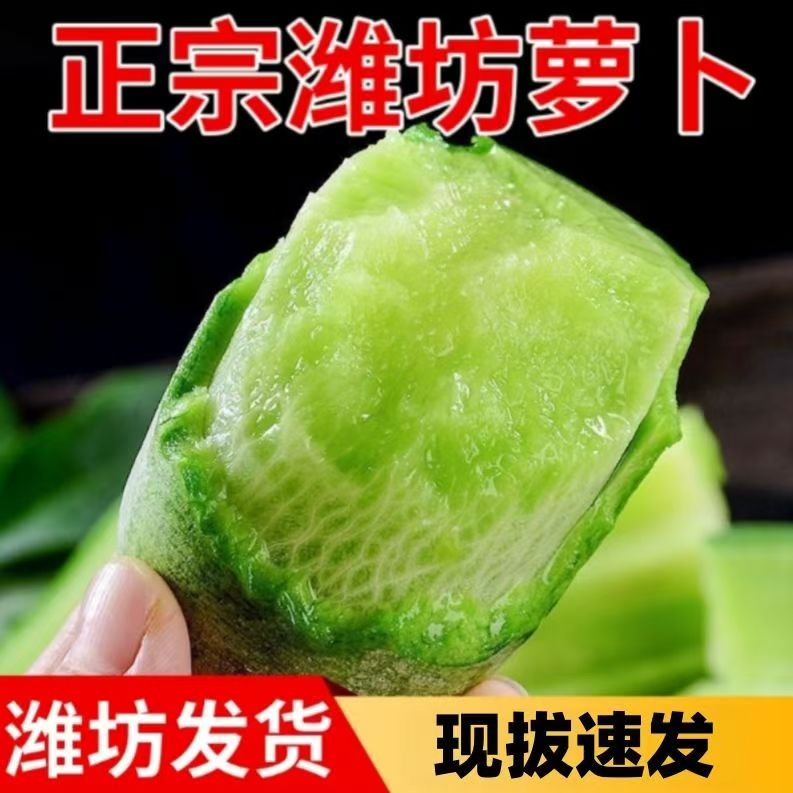 【实惠款】天星2号潍坊水果萝卜 沙窝萝卜萝卜京东包邮