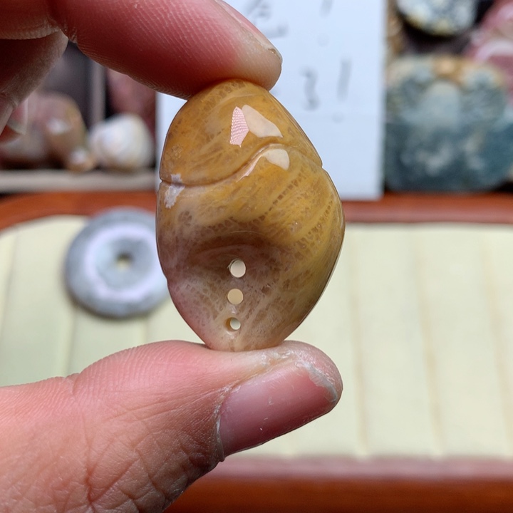 硅化珊瑚（珊瑚玉）颈饰未镶嵌