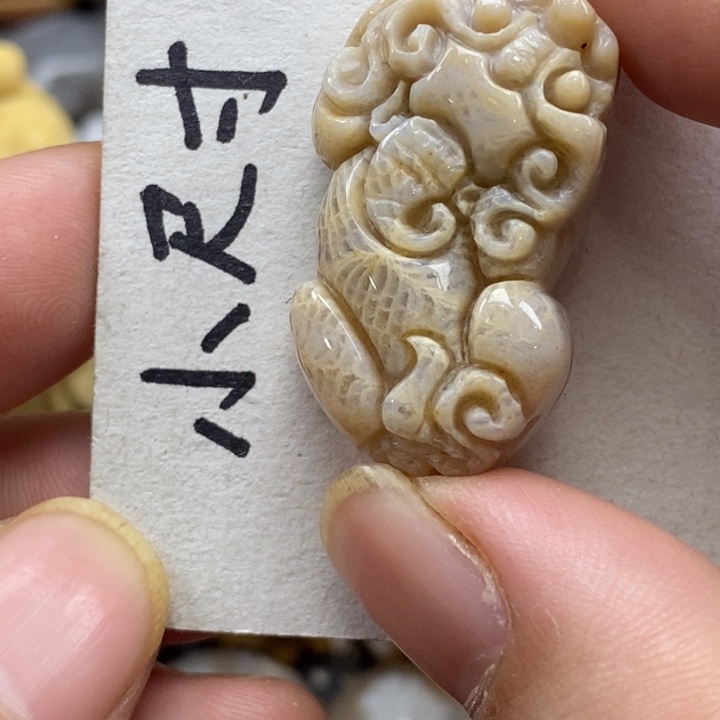 硅化珊瑚（珊瑚玉）未镶嵌颈饰