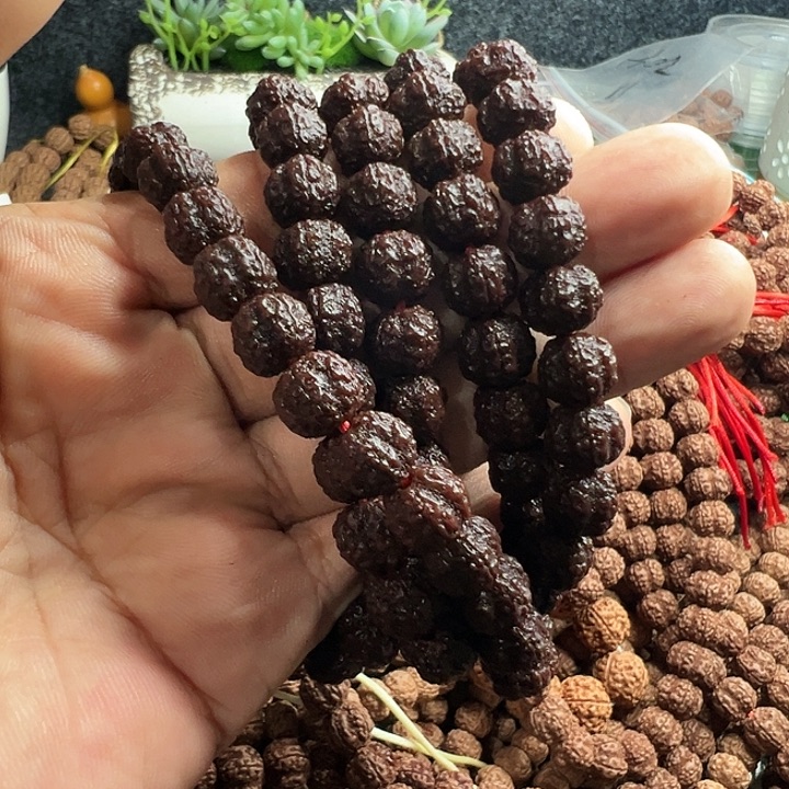 手串金刚菩提红皮花王脖挂