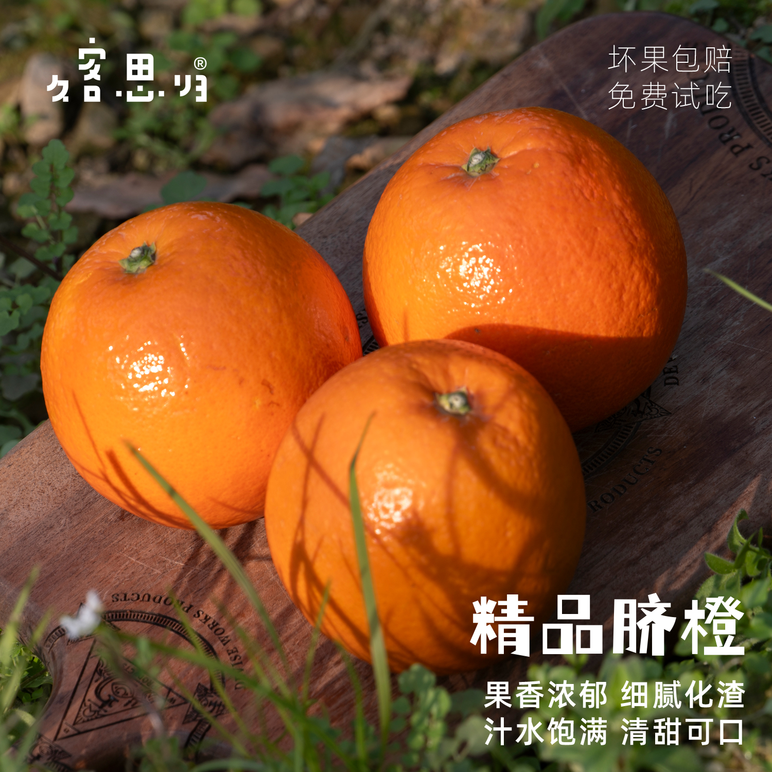 精选辰溪脐橙（果园直发）