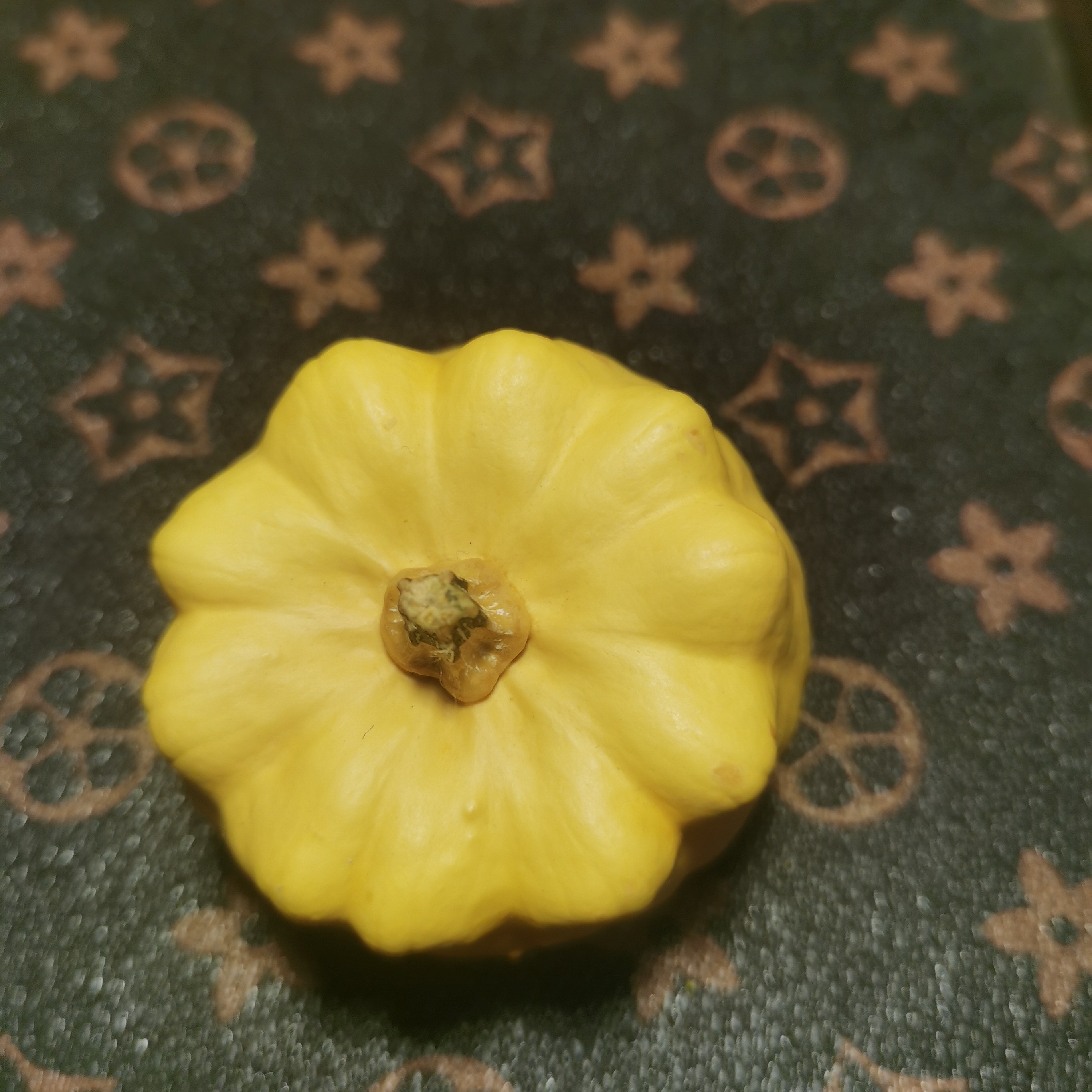 墨西哥葫芦黄色花瓣