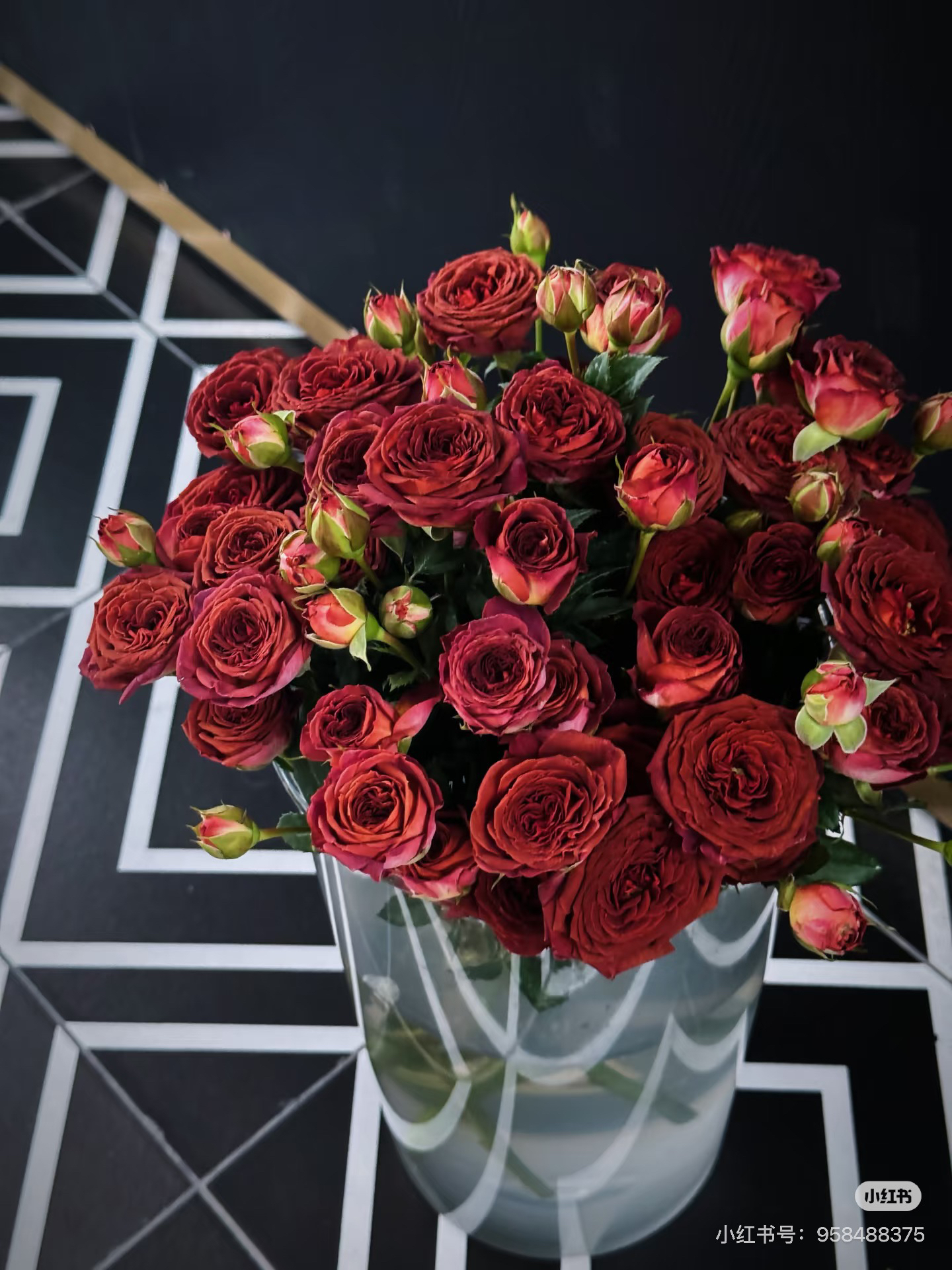 【超高性价比】巧克力多头玫瑰10/20枝-1单中通 3单京东（20%不售后）