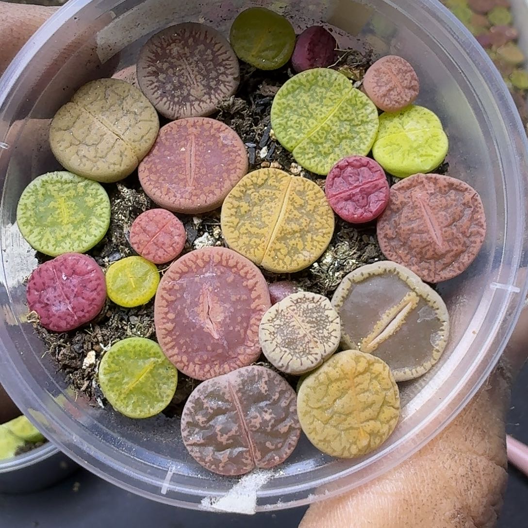 1541 哈哈哈哈哈哈哈哈哈