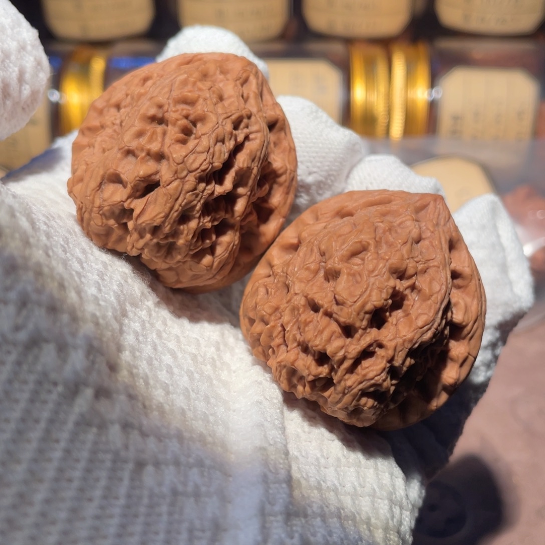 核桃43驴打滚llllll