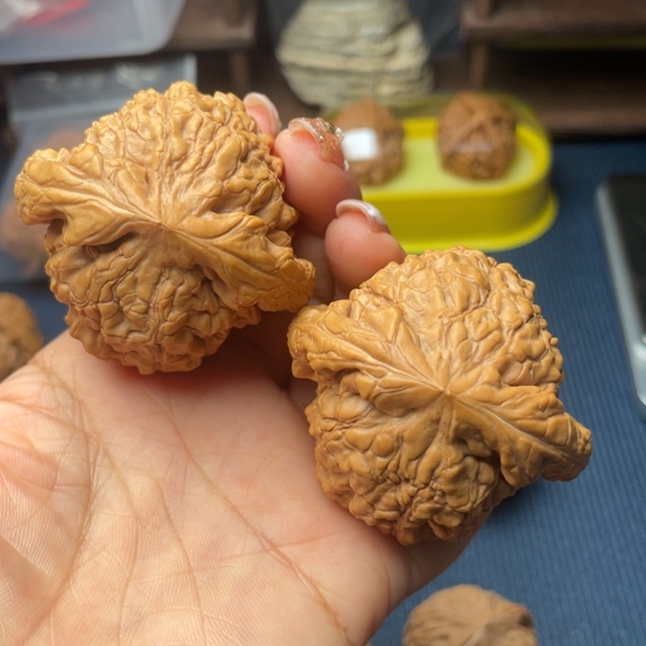 核桃52龙鼎888888