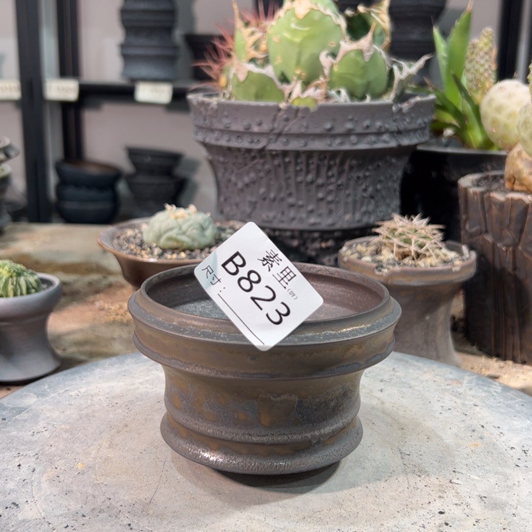 景德镇素里手工内口10高7.2