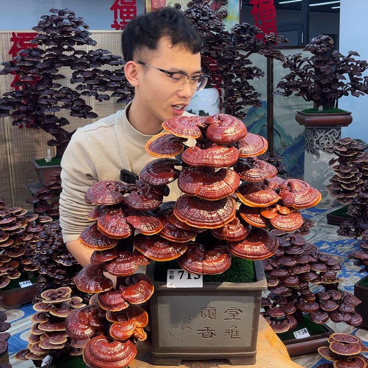 【闪购商品】558888