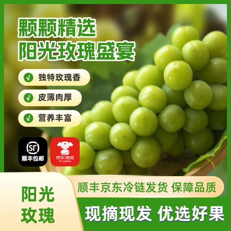 天津汉沽阳光玫瑰葡萄现摘现发货坏果包赔售后无忧精选大果天津市