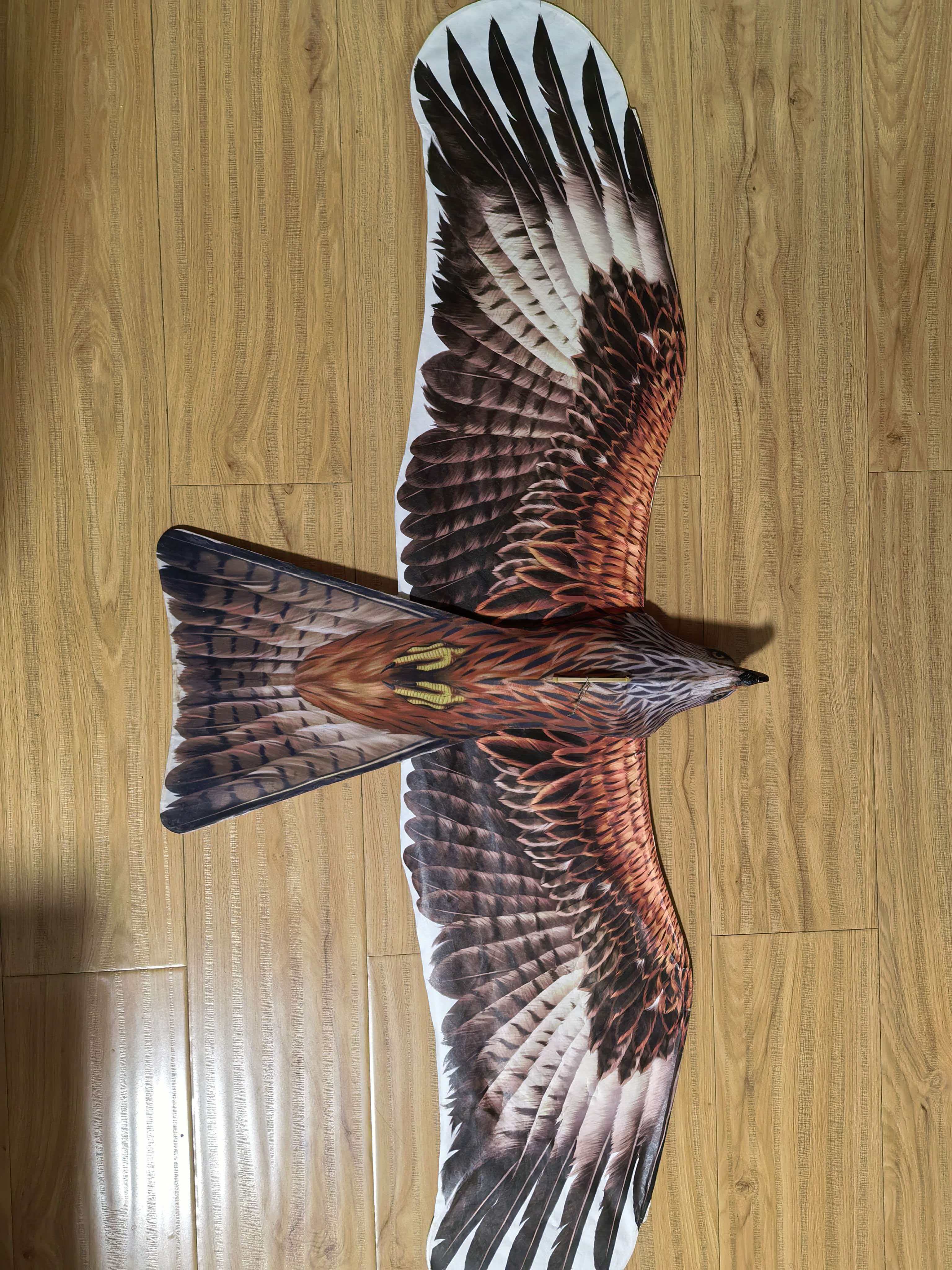 合竹大条鸢印刷版抗大风运动风筝翼展1.2米重125g已试飞  福利版